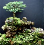 49- A montanha da&nbsp;nascente