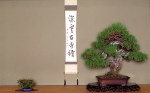 Tokonoma
