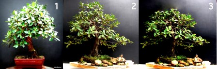 Captura de Tela 2013-08-22 às 00.18.10.png