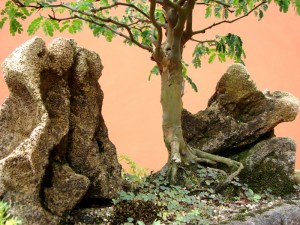 Pedras e Vaso de concreto celular