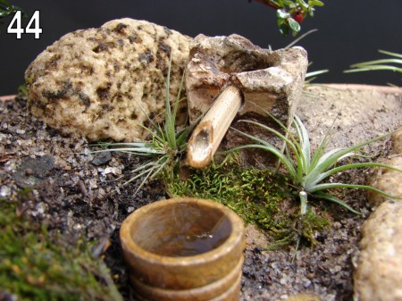 Foto de apresentação da matéria.