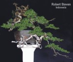 pemphis-acidula-r-steven