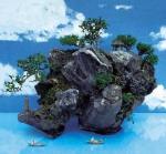 penjing_rock_landscape