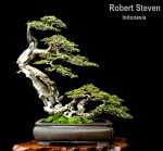 robertstven-styled-tree