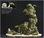 super-mini-on-rock-k