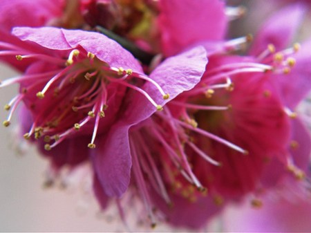 2196292764_02b1f68800