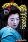 geisha-kyoto-p-0063