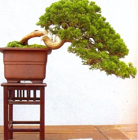 i-concurso-alcobendas-madri03