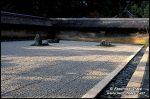 kyoto-garden-v-0733