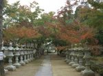 lanternas-em-buttsuu-ji-templo