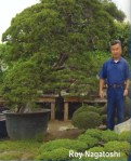 roy-nagatoshi