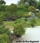 roy-nagatoshi01