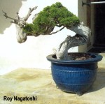 roy-nagatoshi04