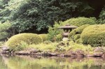 shinjuku_gyoen_japanese_garden
