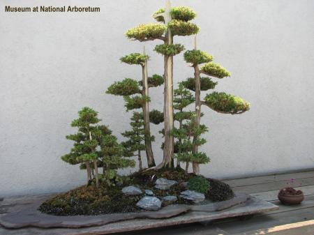 2641413740034295584FJPjIt_fs