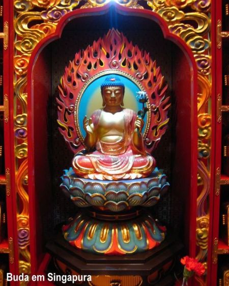 6a00d83453a73169e201156f96d479970b-800wi