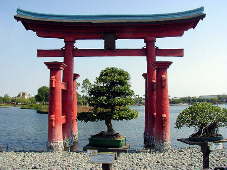 bougainvillea2_waldo