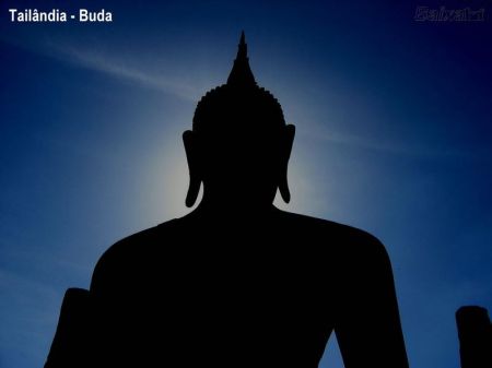 BXK9360_buda-tail-andia800