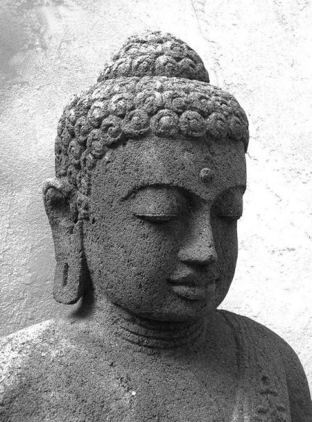 dscf0113-copia-copy2