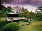 Seiryuen-Garden,-Nijo-Castle,-Japan