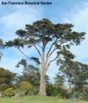 149462793_97f8c8a3be_b