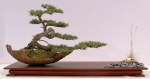 2004060058