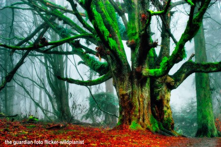 396806031_b61549d0ca_o 396806031_b61549d0ca_o