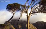 47426145f22a53.06511701frogview-gallery