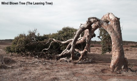 Copyrighted_Image_Reuse_Prohibited_785669