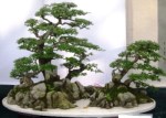 penjing
