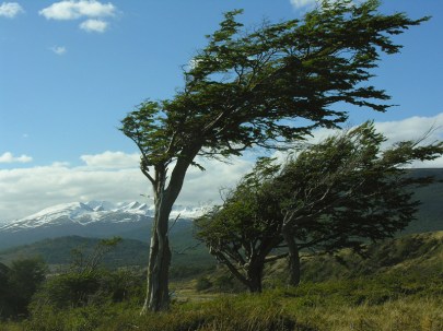 tierra-del-fuego