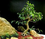 OgAAAAz6RjuwXcwmYbjnq2CpS2taWzjcEZsvVgdu1_1R7ZIEZPjLyaheLPK6ipniiWwqFI0EPZizSm-riCA_zUq_t5oAm1T1UIaKcZPeEbM8YDo4Wy3M9WevLnSP