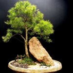 OgAAAJI20L9OmFR3T3C28D6-WxatM0euCjVPh7_-stcN_paN86xr0htQE338kR5siRTGEcWq0t7sSr_ZCr79doF2iicAm1T1UEZVD8d_Wem50LzEqlUSHjef60h_