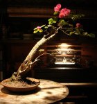 OgAAAOIsWn-AWpZw9HmIvLT2MK-mmamomiF2kME3HweX7zsO53mwoXiZTPNjJXRcVH9OVexQl61J8gCNxpzCPmRhaboAm1T1UONkcFXpzLSCe_-5kelUefw02Hjb