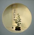 2008_philadelphia_bonsai_002