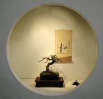 2008_philadelphia_bonsai_008