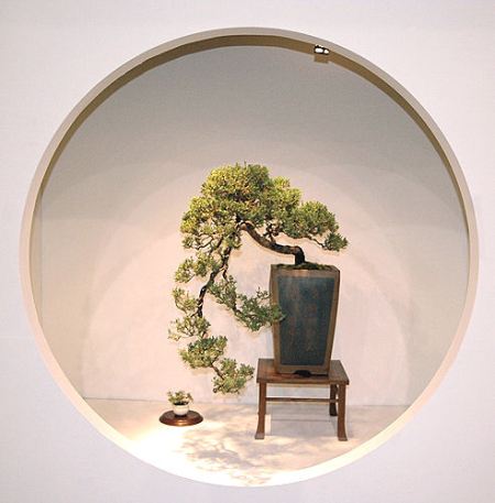 2008_philadelphia_bonsai_013