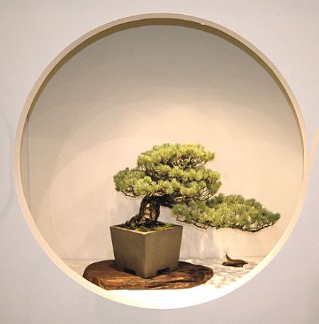 2008_philadelphia_bonsai_014