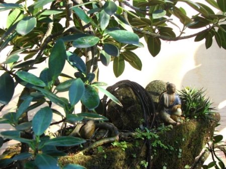 6331_1046928632607_1807434096_102082_5705352_n