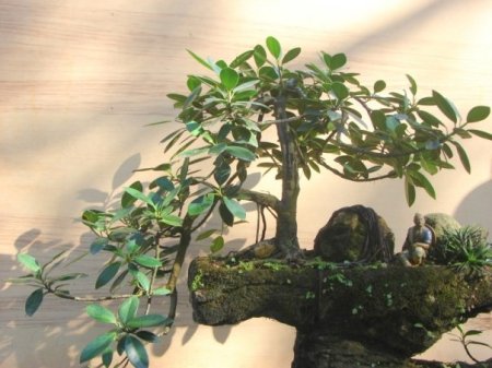 6331_1046928672608_1807434096_102083_5097665_n