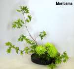 ikebana6