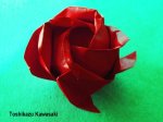Kawasaki-Rose