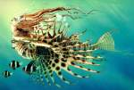 lionfish