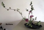 Moribana_Slanting_2.687.480