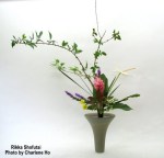 Shofutai_su-fen.june9.1