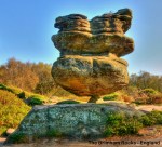 142222402_53db67a845_o