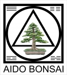 cartao-aido-bonsai-front-2-apenas
