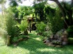 DSC01558