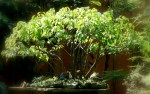 dsc01559