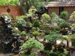 DSC01578